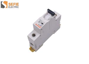 China Din rail 6a short circuit breaker shock resistance 6kA Breaking Capacity wholesale