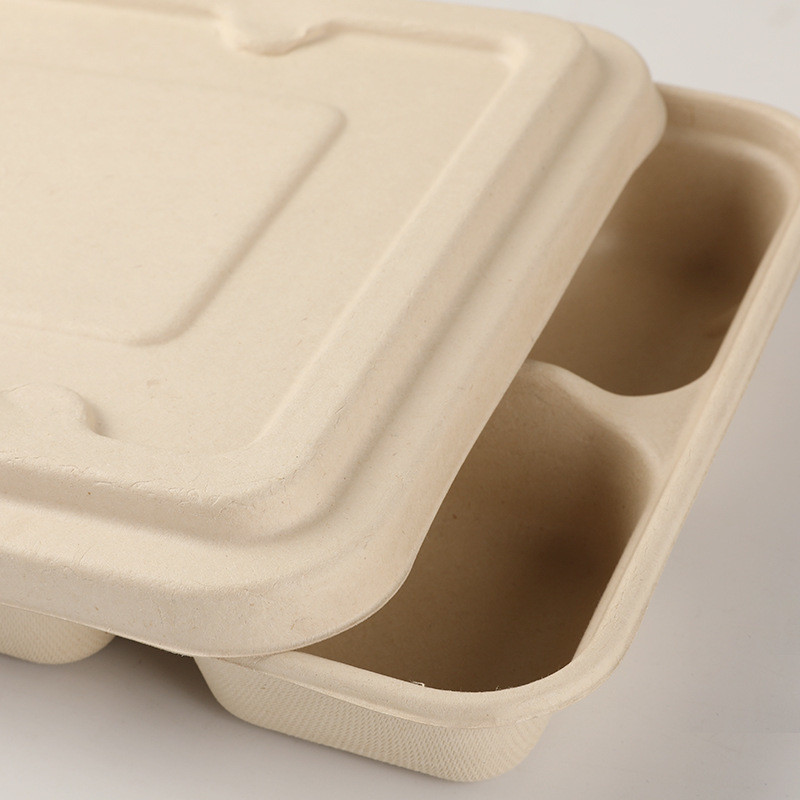 100% Natural Sugarcane Fiber Square Disposable Plates Biodegradable