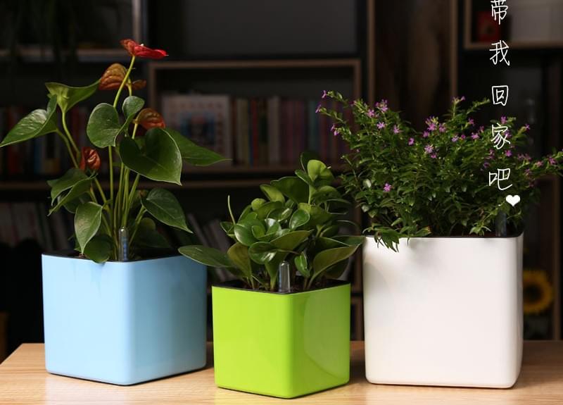 14cm Plastic Cube Self Watering Pots For Houseplants