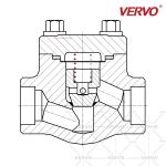 Stainless Steel Check Valve Forged Steel Check Valve Class 800 Stainless Steel