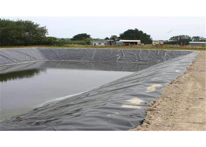 Fish Shrimp Farming Polyethylene Geomembrane Width 1m To 8m Pond Liner