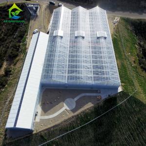 China 220V Gutter Connected Greenhouse wholesale