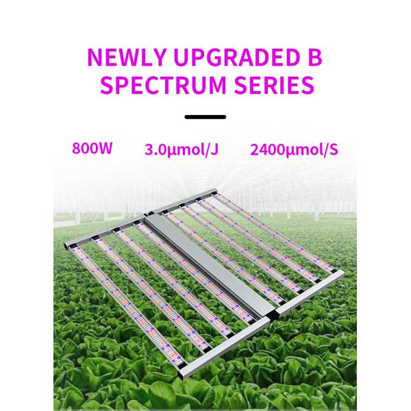 800 Watt Full Spectrum LED Grow Light with 3-Year Warranty and 50000 Hours Working Time for High PPF Output