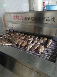 China 30 Kw Fast Freeze Chest Mesh Belt Tunnel Freezer 1500KG/H 2500KG/H wholesale