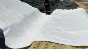China Nonwoven Polypropylene Filament Geotextile Mat Geosynthetic Fabric ASTM wholesale
