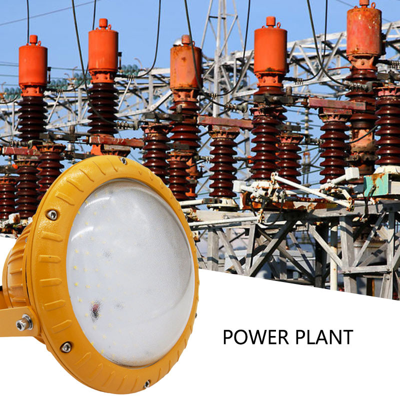 Customized Explosion Proof LED Lamp Anti Corrosion Grade WF2 2700K - 6500K