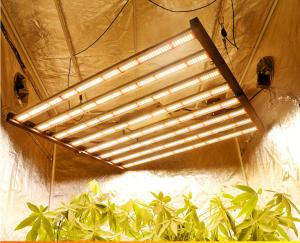 China Powerful 640W High Output For Medical Plants Flowering Stage Waterproof Grow Light Spectrum wholesale