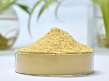 Supercritical CO2 Extraction Cinnamon Oleoresin