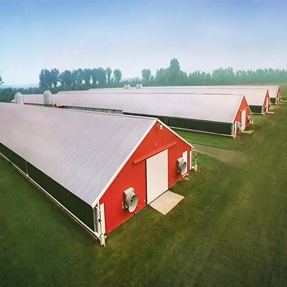 Durable Large Span Steel Structure Chicken House Light Steel Frame Construction