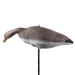XPE Brown Real Life Canada Goose Decoys For Outdoor Hunting Accessories