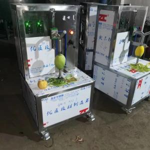 China Discount Price Automatic Mango Peeling Machine, Kiwi Fruit Skinner wholesale