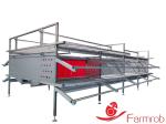 2 Tiers 3 Tiers Cage Free System Automatic Cage Free Egg Production Systems