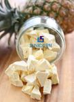 4Kg Small Freeze Dryer Mini Vacuum For Fruit Vegetable