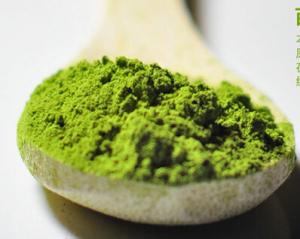 China Fujian Organic Healthy Slimming Matcha Green Tea Powder Original Tea Flavor wholesale