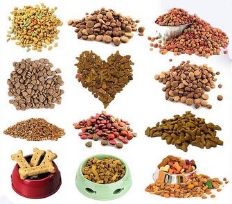 Ss 304 Dual Screw Pet Food Processing Line Automatic