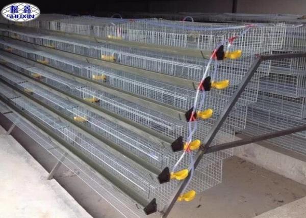 Quality Galvanized Metal Quail Laying Cage , 6 Layers Wire Quail Laying Cages for sale