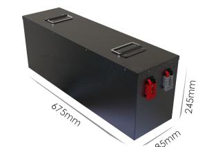 China High Power Motorhomes 5KVA 48v 100AH Lithium Ion Battery wholesale