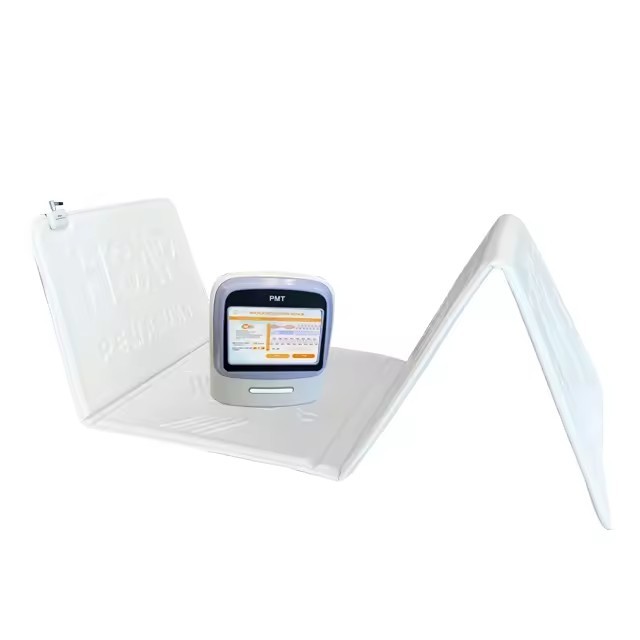 Pulsed Electromagnetic High Dose Magnetic Therapy Pemf Mat Blood Circulation