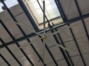 China 3.6M 12ft Commercial Electric High Ceilings Large HVLS Fans wholesale