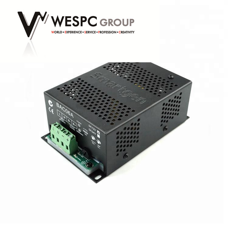 Auto Standby Generator Battery Charger