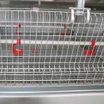 195 * 50 * 35CM Baby Chick Cage , Automatic Battery Cage System Low Disease