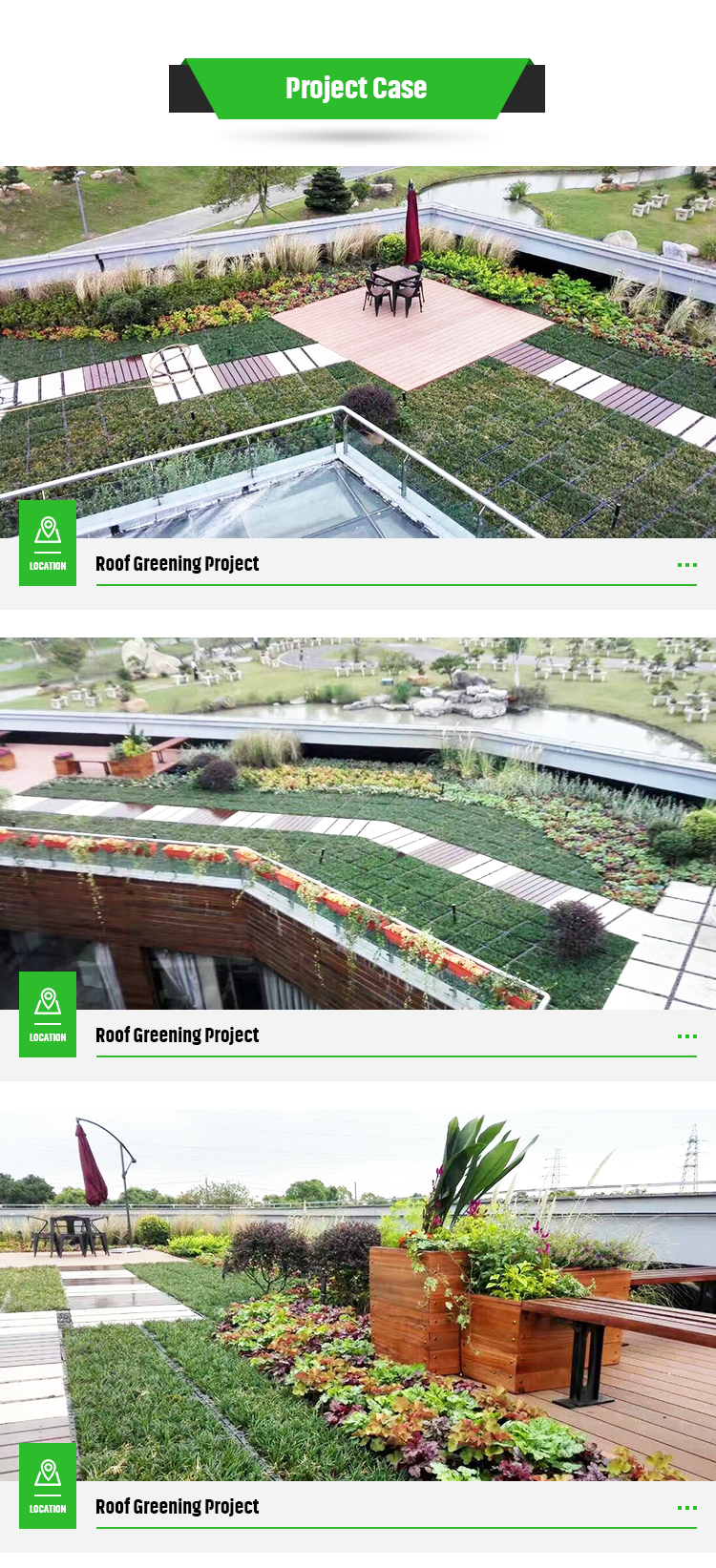 Plastic Tray Garden Planter for Garden Usage Terrace Roof Top Planting Made Simple