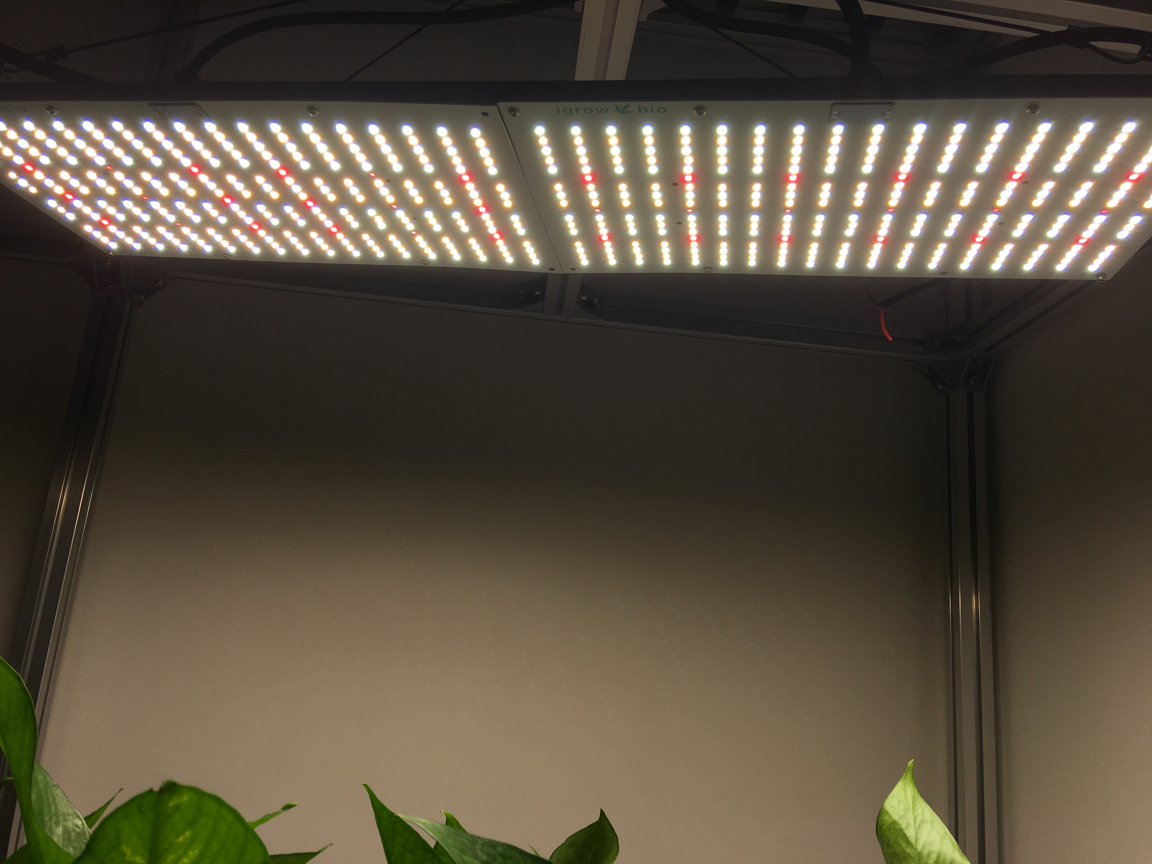 Minimalist Design 240W 2.7umol/J UV LED Grow Lights