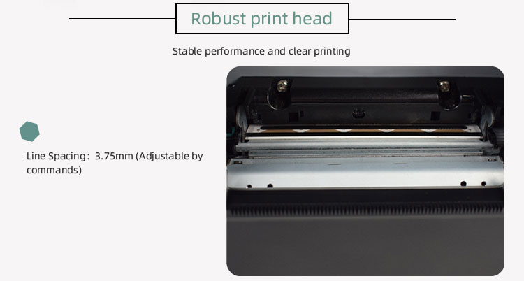 AC 110V/220V Input POS 80 Thermal Printer with Thermal Receipt and Barcode Private Mold