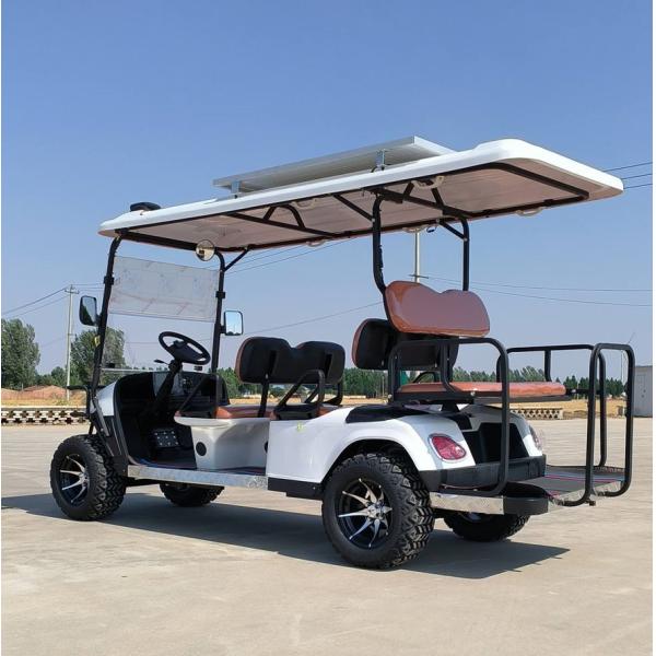 6 Seater Golf Cart Printing Customized Adult Rechargeable Tourist Sightseeing Car