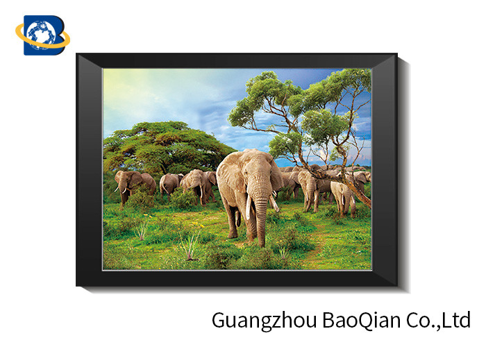 Flip Effect Lenticular Image 40 x 40 cm , 3D Lenticular Printing Pictures Elephant Theme