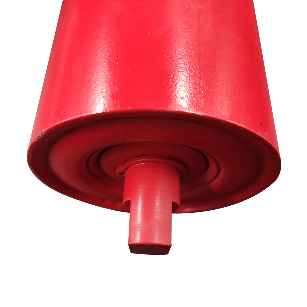 204205305306308000 Bearing Model Standard Conveyor Roller Ends for Material Handling Equipment Parts