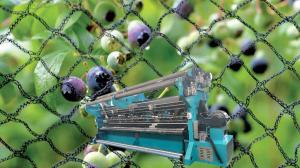China Anti Insects Warp Knitting Machine Anti Bees Net Knitting wholesale