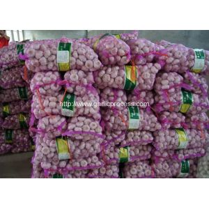 China Garlic Dosing Mesh Bag Packing Machine wholesale