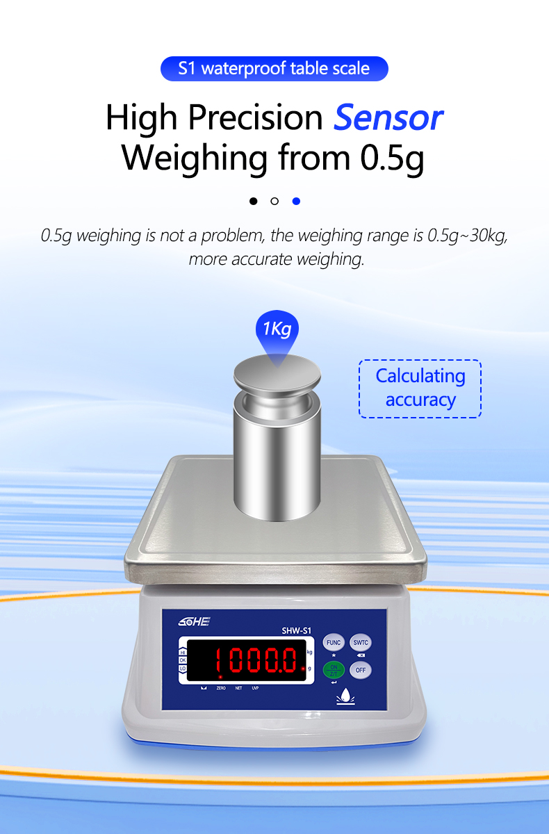 8V/1A Power Supply Waterproof Scale with Dual Screen Display and Precision Sensor