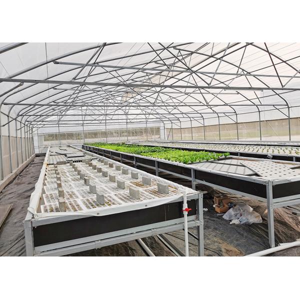 DWC deep water culture Hydroponics System Vertical Hydroponic For Agriculture