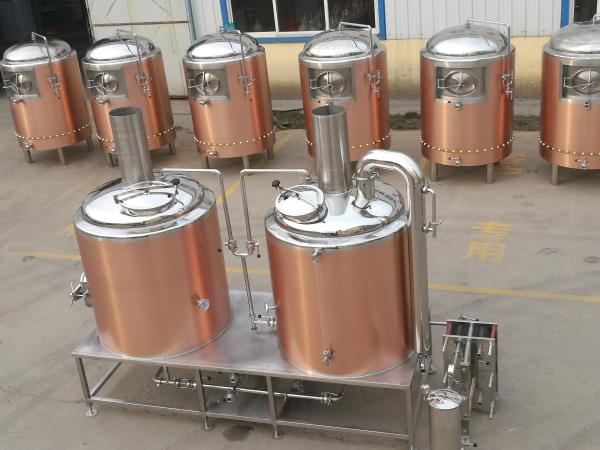 Rose Gold SS304 / 316 500L Small Brewery Equipment 50 / 60 Hz Frequency