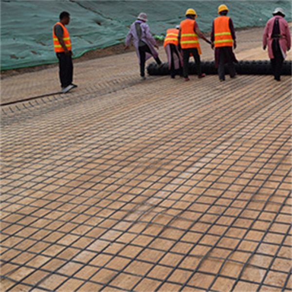 PP wire mesh Thickens 1.5-2.3mm Black Plastic Fence Rolling 2cm 3cm Hole Breeding Nets Protection Of Vegetable Fruit Plant PVC Fence