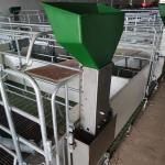 Pigsty Equipment 2.5mm Thickness Sow Farrowing Crate
