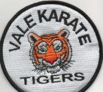 Embroidered-Sew-Iron-On-Patch-Badge-Bags-Hat-Cap-Jeans-Applique-Fabric-Transfer