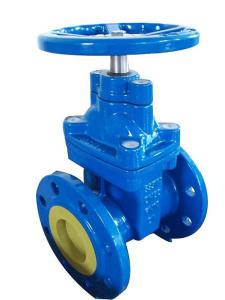China (BS) Cast Iron Resilient Gate Valve nor-rising stem wholesale