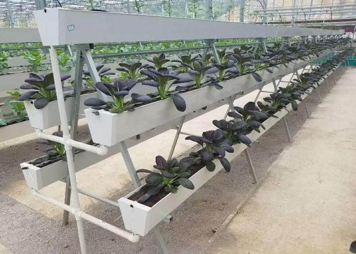 Strawberry Hydroponic Growing System Vertical Planting Cultivation PVC Gutter Indoors For Home