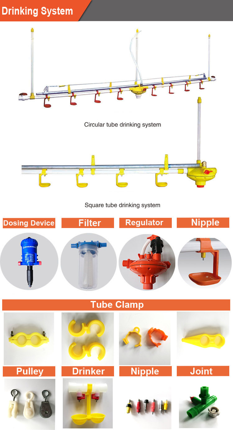 Water Nipple Drinker Chicken Feeder