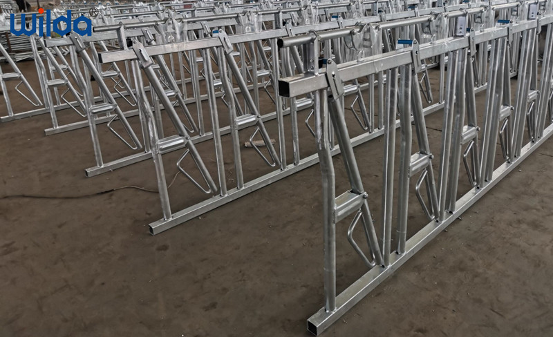 OEM ODM Dairy Cow Headlocks 3mm For Hog Chain Feeding System