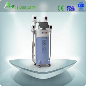 China cryolipolysis machine price hot sale wholesale