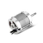 Grass Blower Brushless DC Motor