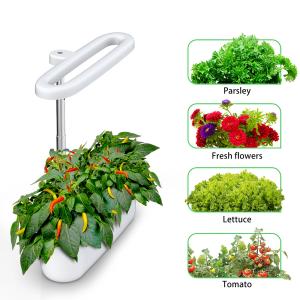 China BAVA Seed Pod Hydroponic Growing Light 12W Irrigation Ventilation wholesale