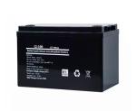 LFP Lithium Ion Batteries 12V Lifepo4 Battery 12 Volt 24V 36V 10ah 20ah 30ah