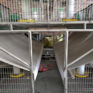 China Q235 Steel Wire Farm Rabbit Hutch For Commercial Farming wholesale
