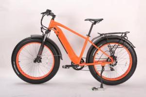 China Mechanical Disc Brake Electric Assist Mountain Bike 500W 750w high speed wholesale