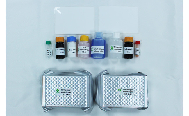 Newcastle Disease Virus Avian Influenza Rapid Test Kit For Poultry Disease 192 Wells/Kit